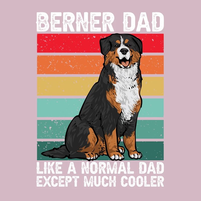 Bouvier bernois