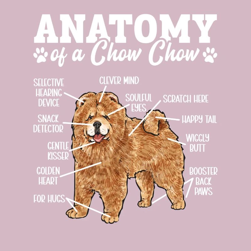 Chow Chow Hund