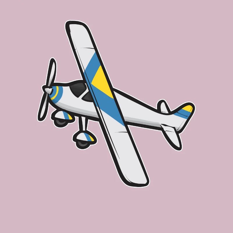 Remote Controlled Airplane Model Airplane