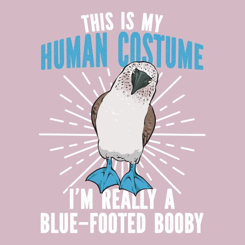 Blaufußtölpel Blue-footed Booby Seevogel