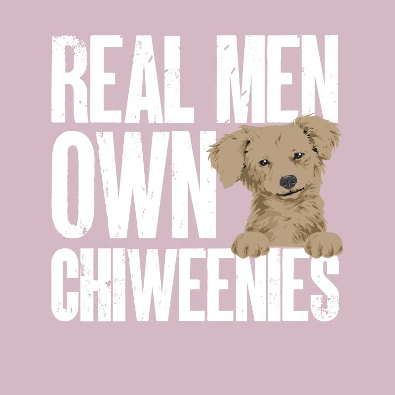 Chiweenie Dog