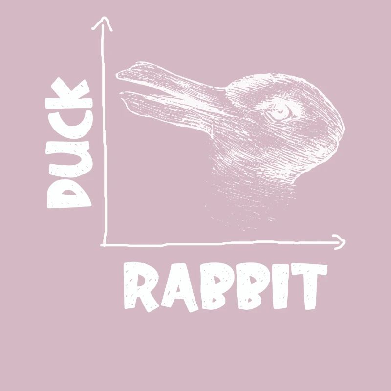 Wittgensteins Rabbit Duck Illusion