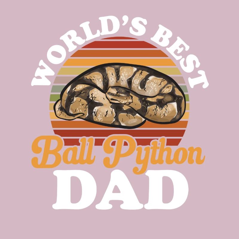 Ball Python Schlange Königspython