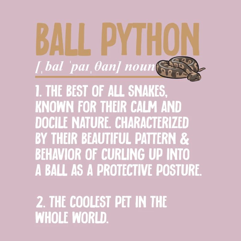 Ball Python Schlange Königspython