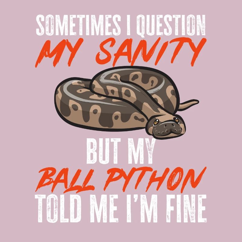 Ball Python Schlange Königspython