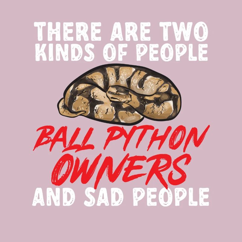 Ball Python Schlange Königspython