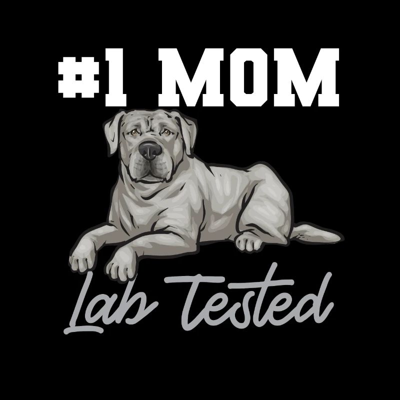 Silver Labrador Retriever Silver Lab