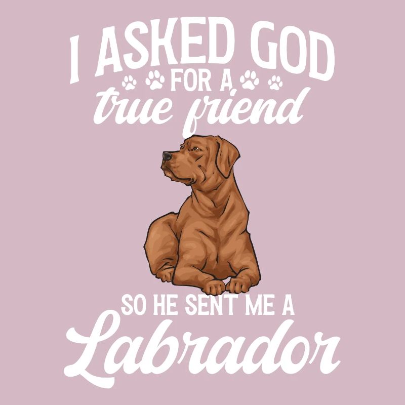 Fuchsroter Labrador Retriever Fox Red Labrador