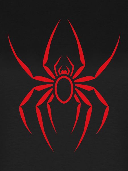 Spinne