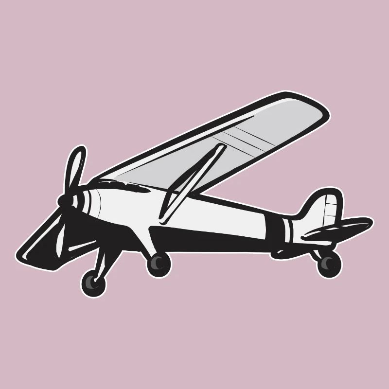 Remote Controlled Airplane Model Airplane