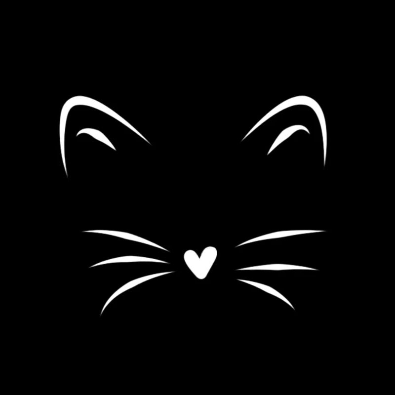 Cat Whiskers cat face gift