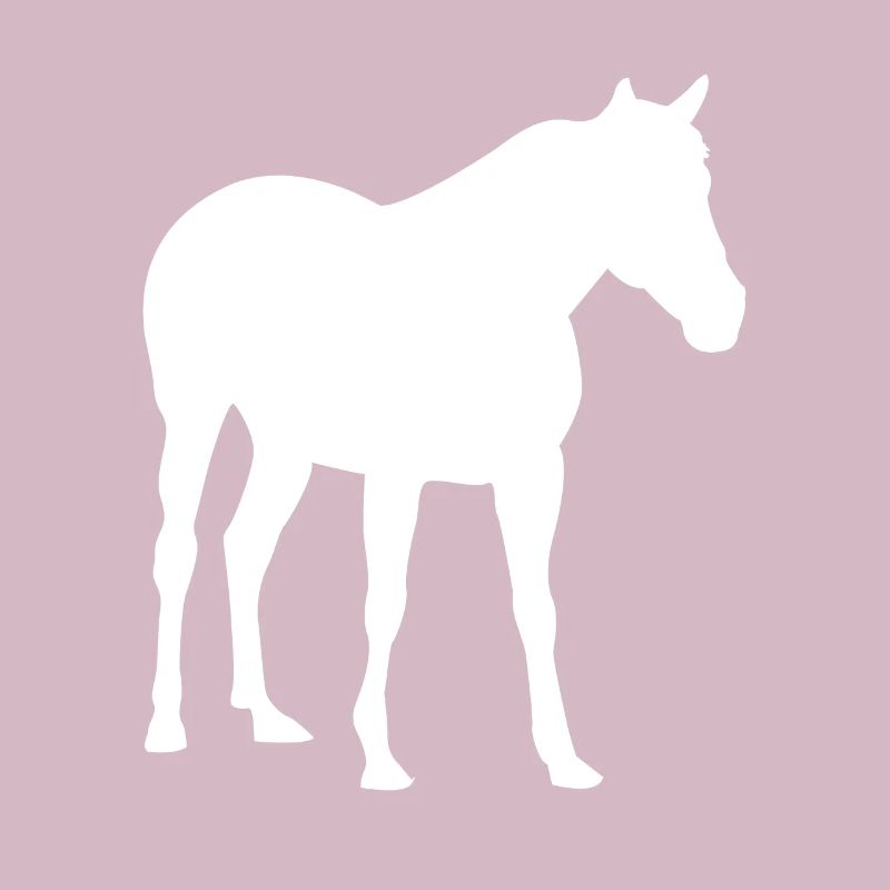 Cheval chevaux chevaux