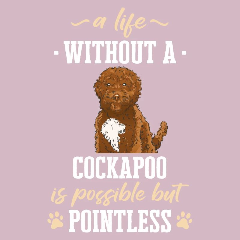 Cockapoo Hund