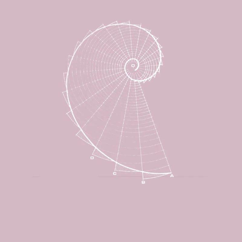 Fibonacci (optique à la craie)