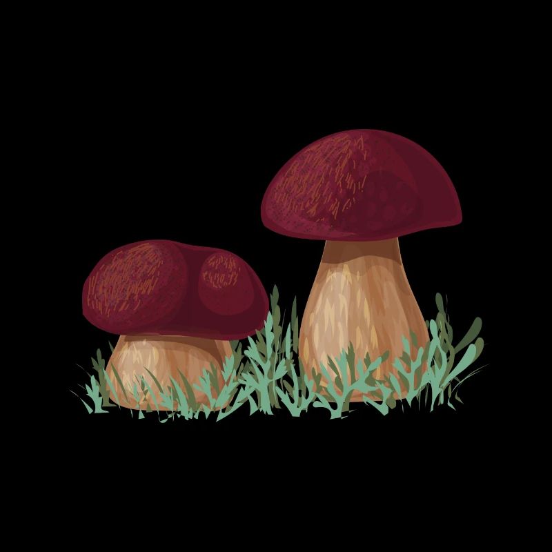 Champignons Porcini cueillette champignon cueilleur de champignons