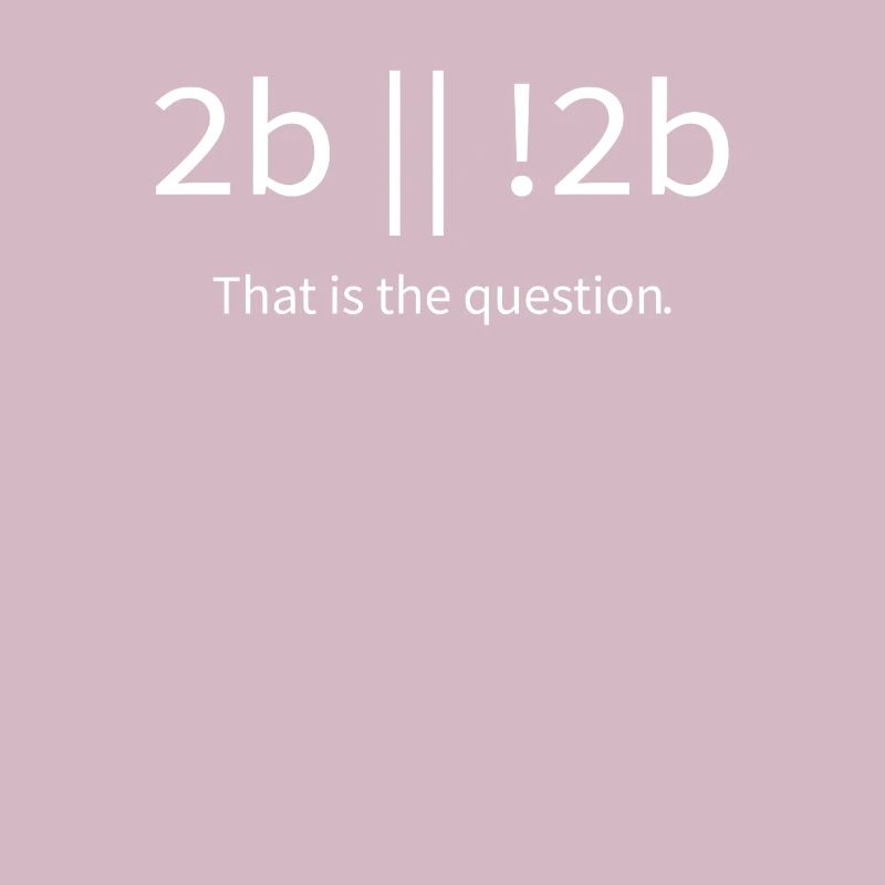 2b lustiger cooler Programmierer sein oder nicht sein