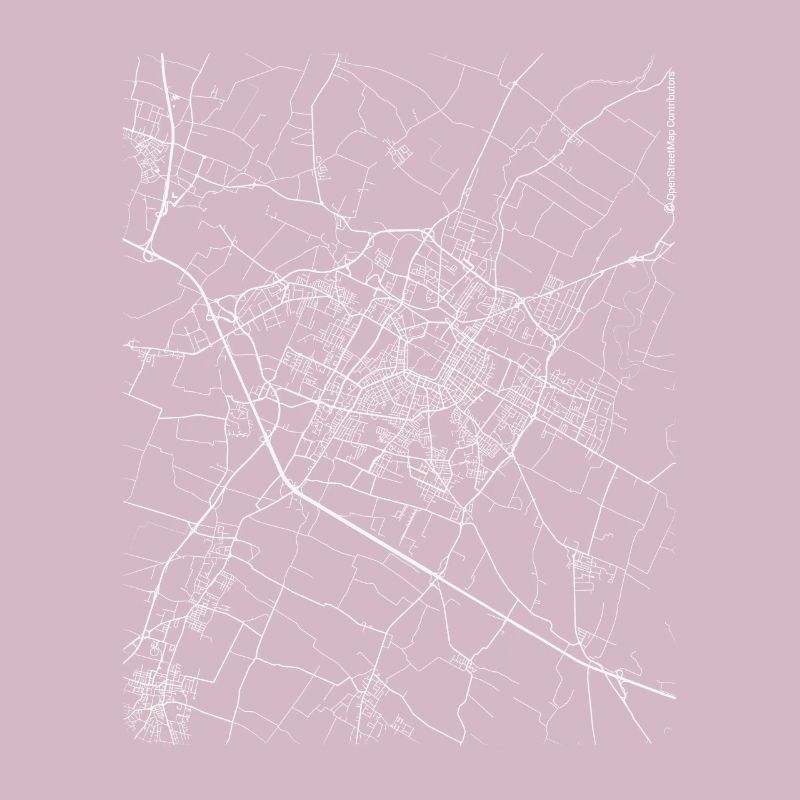 Plan et rues de Modène