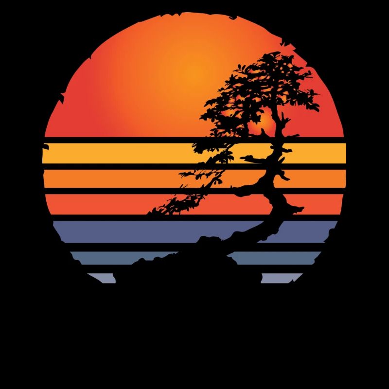 Japan sun bonsai