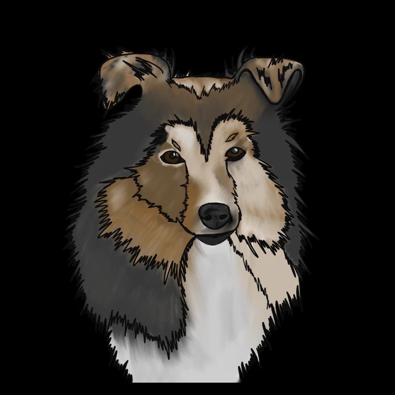Longhair Collie Mama | Collie Rough Collies