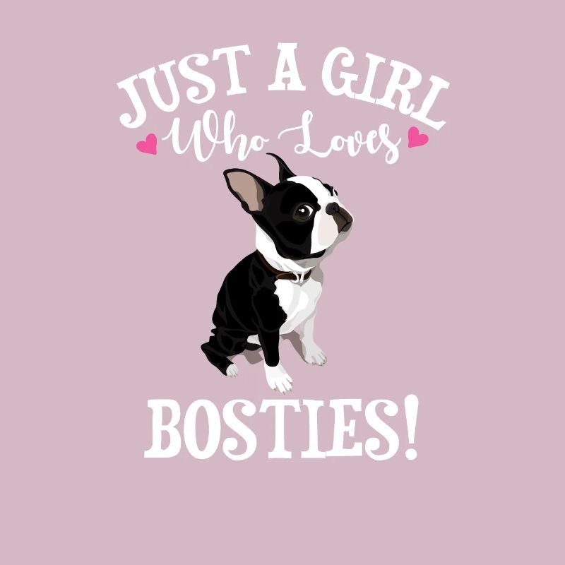 Boston Terrier