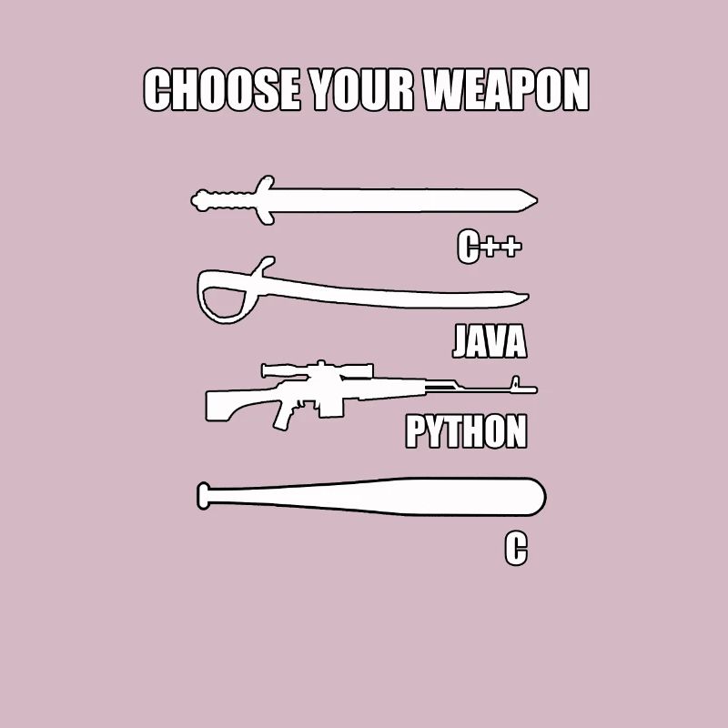 Funny developer IT theme for computer scientist