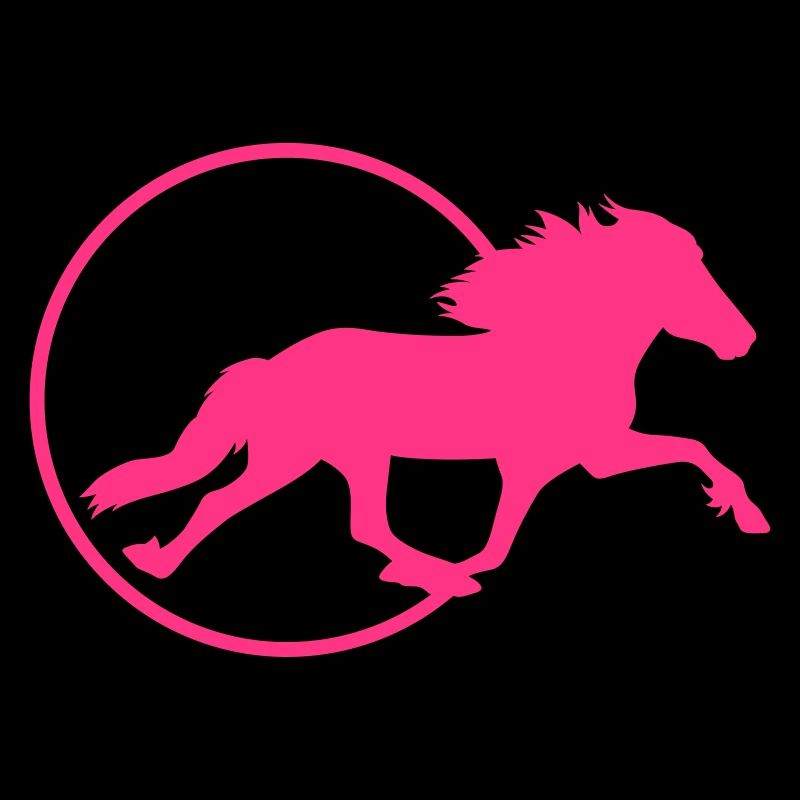 Cheval d’Islande - Pass de course