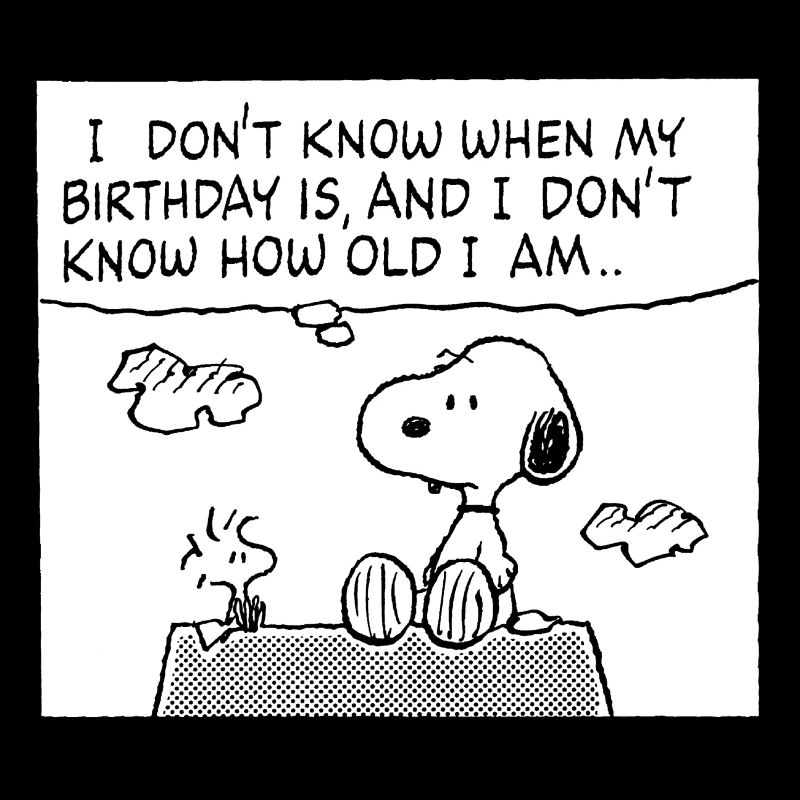 Peanuts Design Geburtstag Mit Spruch Und Snoopy