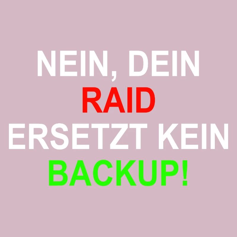 RAID BAckup Systemintegrator