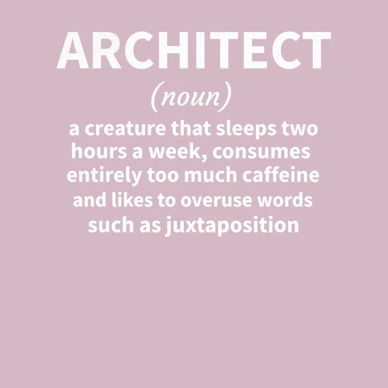 Architecture Gift Architecture Student Architect