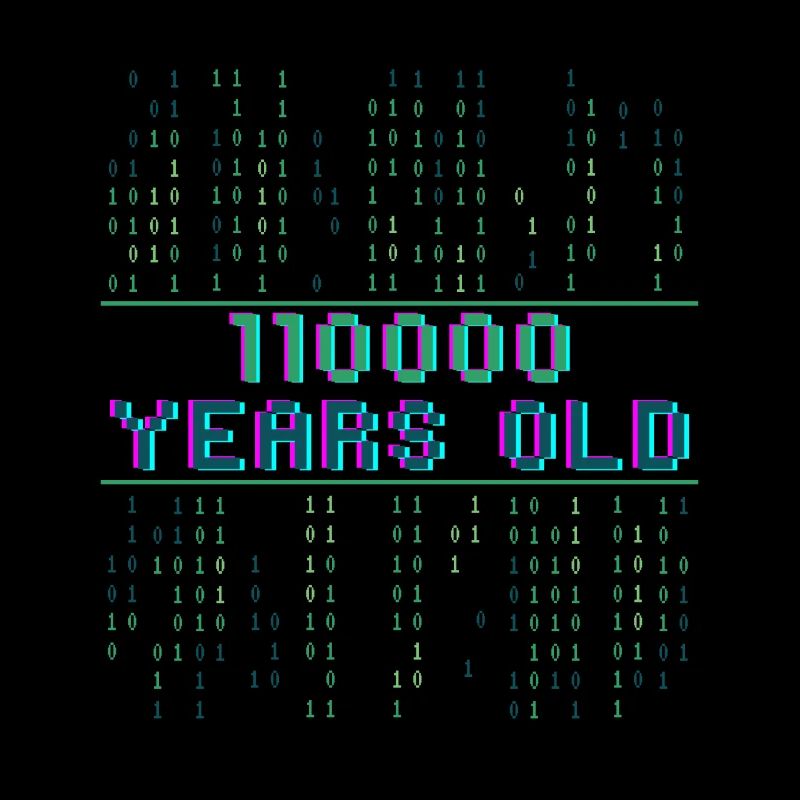 48. Geburtstag 48 Jahre alt Binärcode Informatik