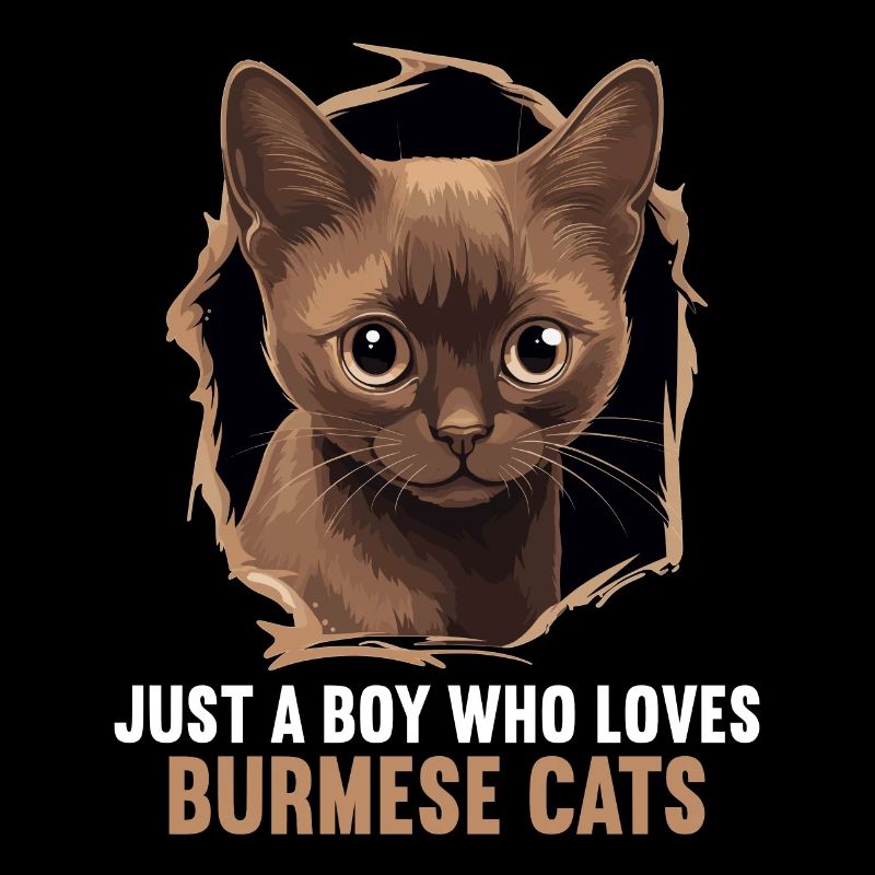 Chat birman Birmanie Katze