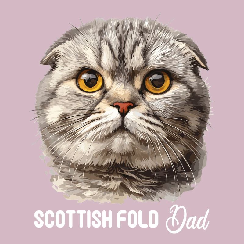 Scottish Fold Kätzchen Scottish Fold Katze