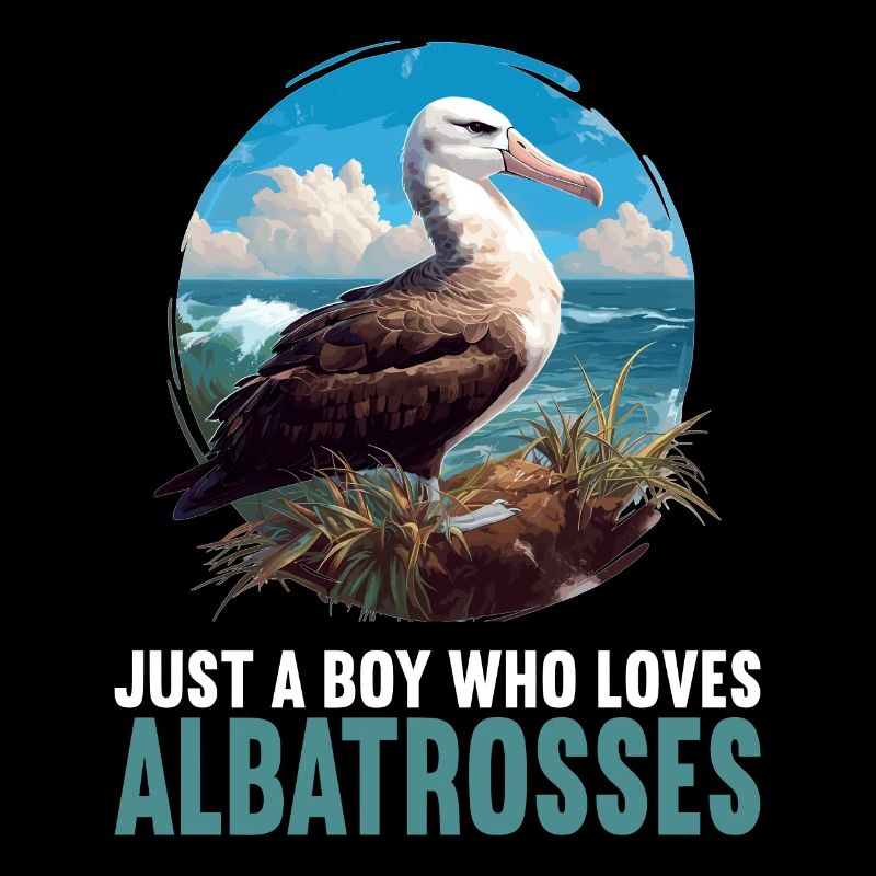 Albatross Albatrosse Albatros