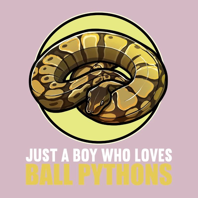 Ball Python Roi Python Roi Python
