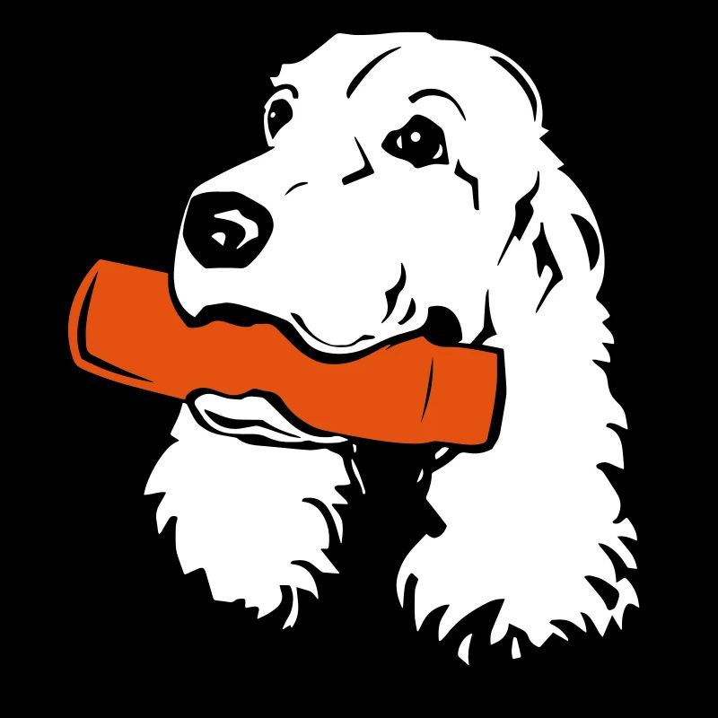 Cocker Spaniel mit Dummy