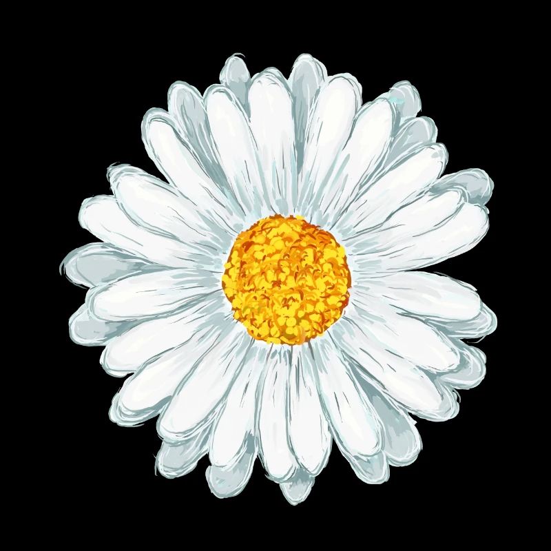 Gänseblümchen