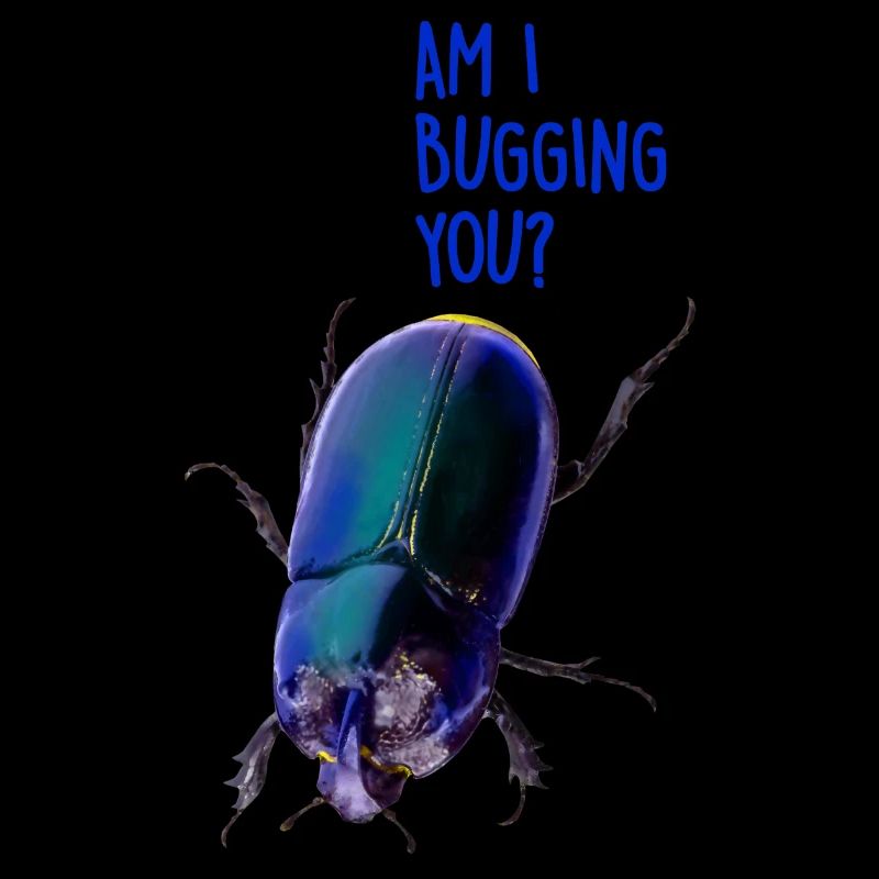 Am I bugging you