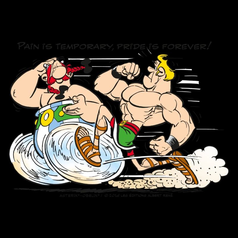 Asterix & Obelix - Pain is temporary