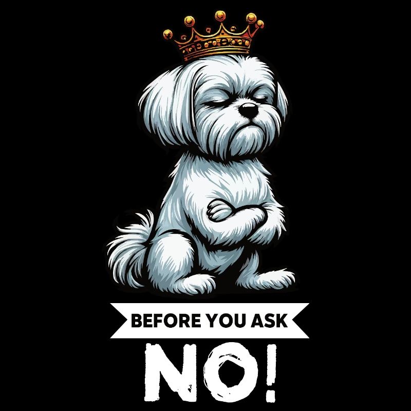Before You Ask Malteser Maltese Owners Maltese