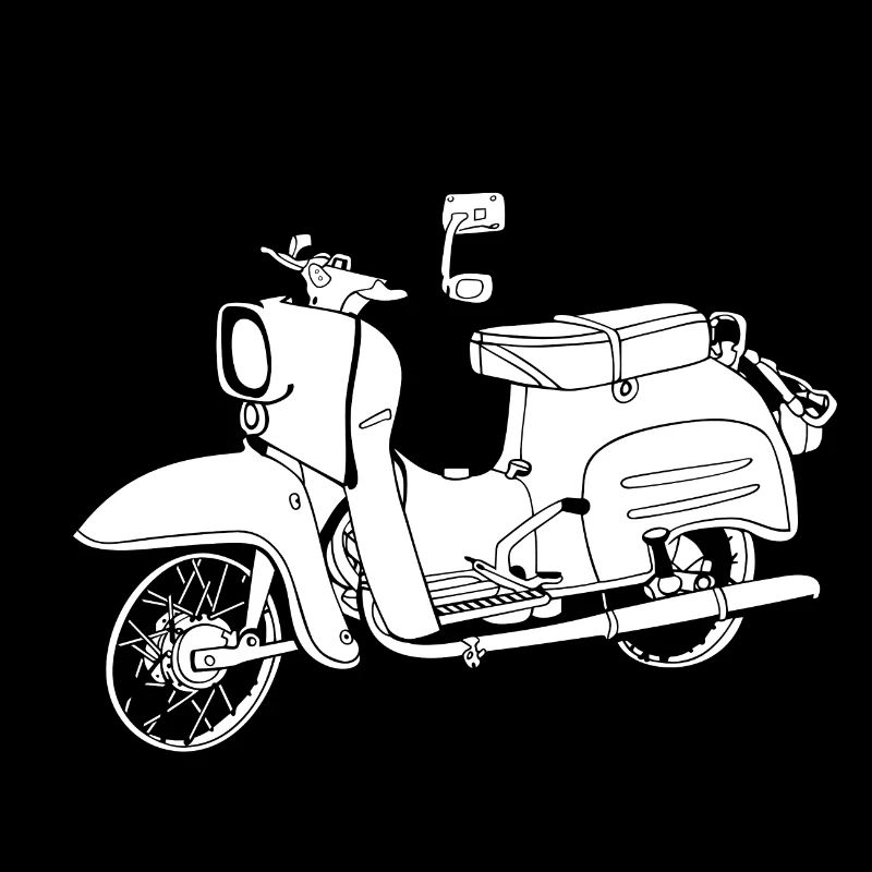 Simson hirondelle