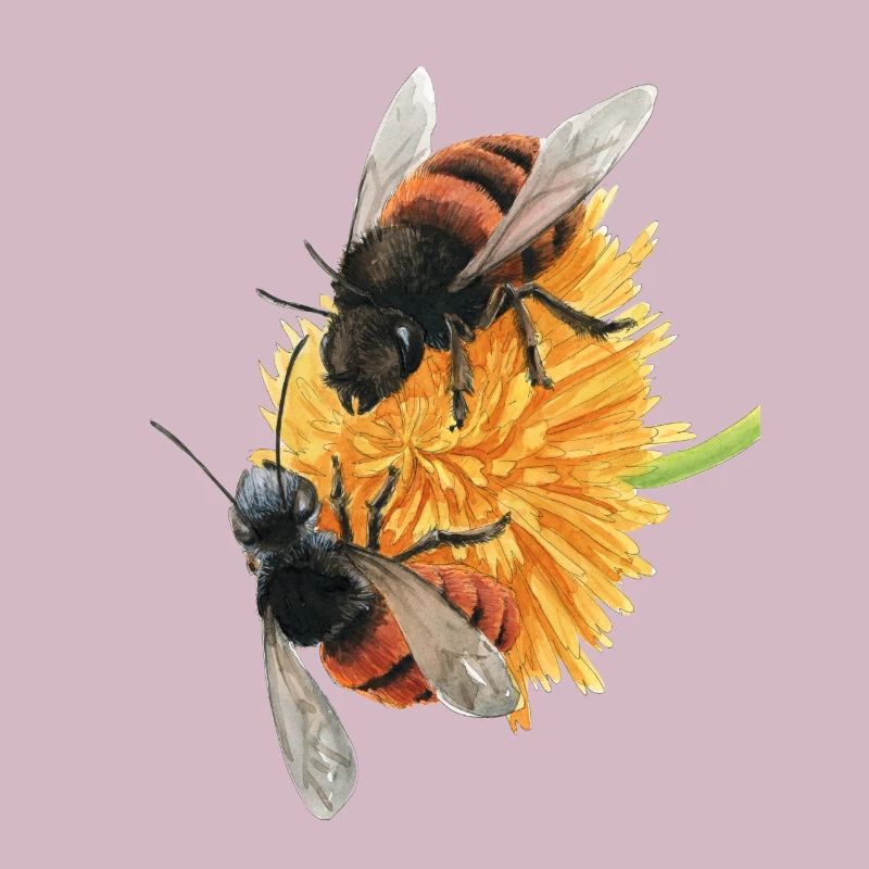 gehoernte mason bee