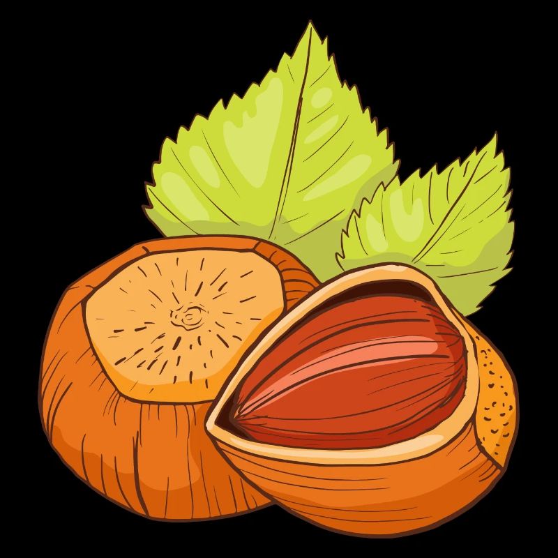 Hazelnut common hazelnut shrub