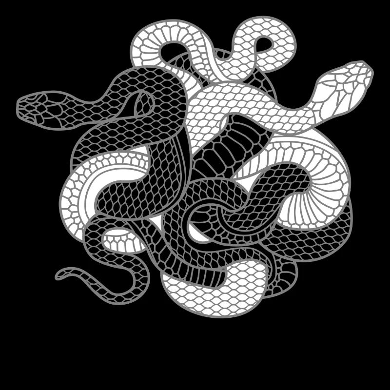 Serpents cadeaux pour Yin Yang Python Cobra fans