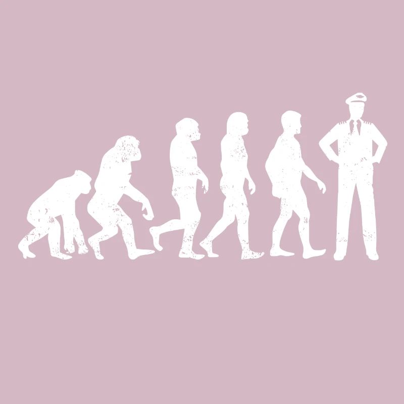 Evolution pilot airplane