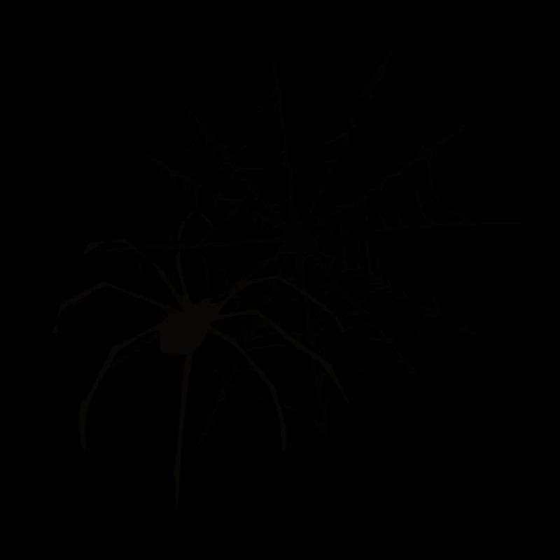 cobweb