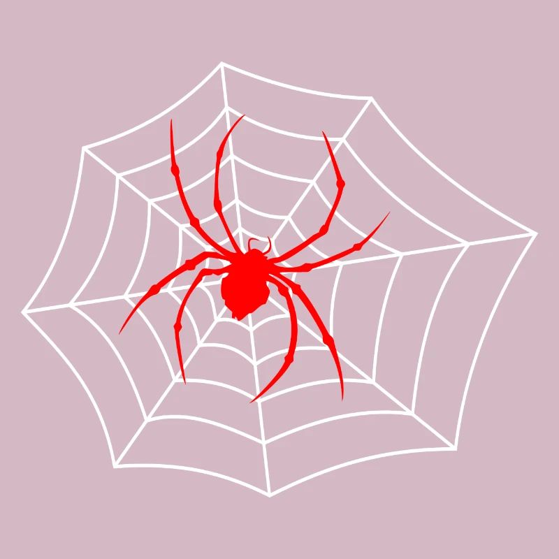 Spider on the web