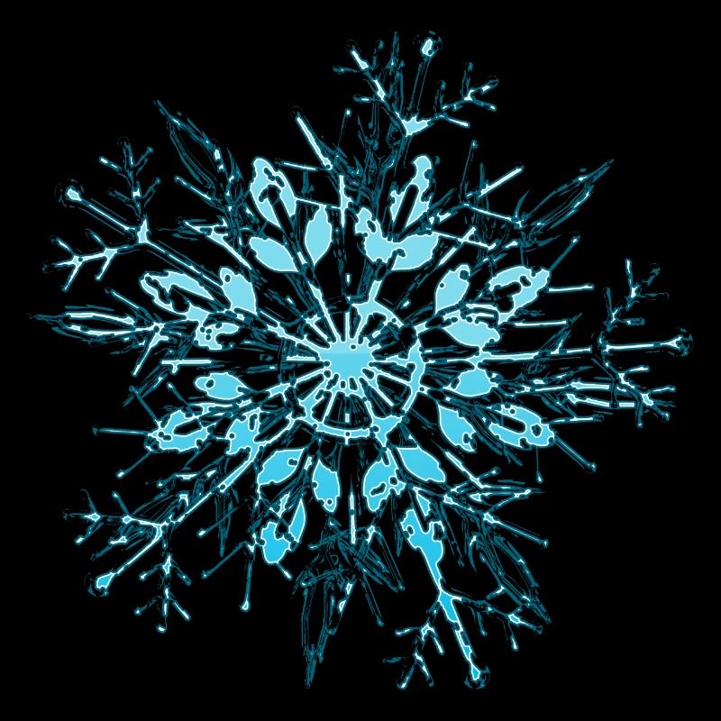 Snowflake / flocon de neige