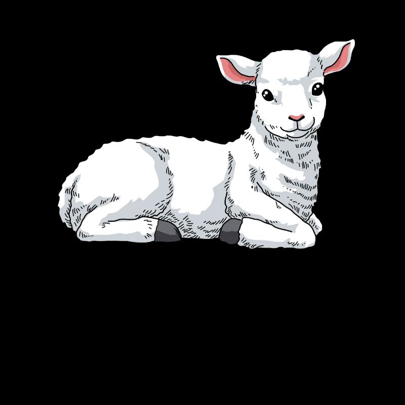 Lamm Schaf Hausschaf