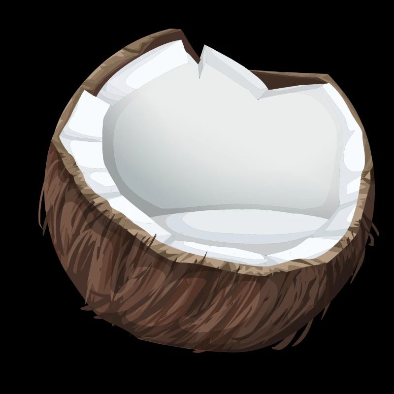 Noix de coco - Idée de cadeau tropical