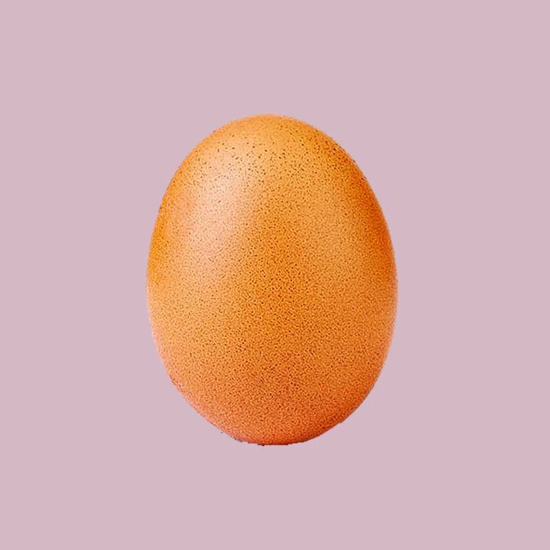egg